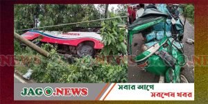 হবিগঞ্জে বাস চাপায় সিএনজি চালকসহ নিহত ৩
