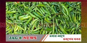 সিলেটে কাঁচা মরিচের কেজি ১ হাজার টাকা